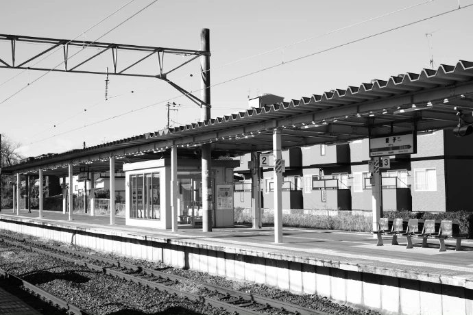a black and white photo of a train station